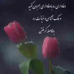 دانلود آهنگ یه عمری پی عشق و یه خواب “هوش مصنوعی” از حمیرا